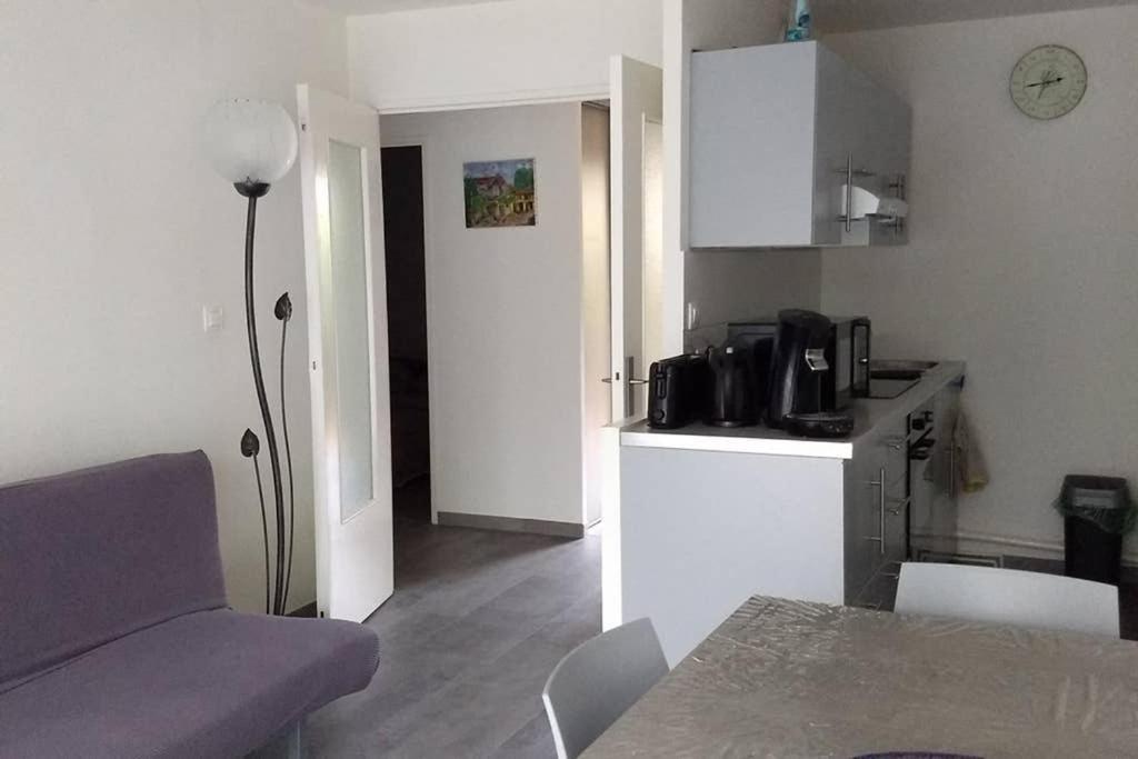 Particulier Loue T3 En Rez De Jardin A 30 Metres De La Avec Un Double Box Apartment *