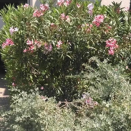 Particulier Loue T3 En Rez De Jardin A 30 Metres De La Plage Avec Un Double Box La Ciotat Exterior photo