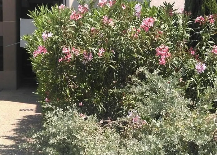 Particulier Loue T3 En Rez De Jardin A 30 Metres De La Plage Avec Un Double Box
