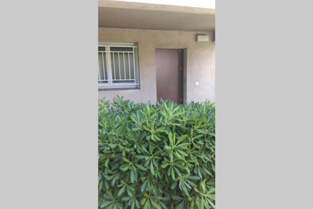 Apartment Particulier Loue T3 En Rez De Jardin A 30 Metres De La Avec Un Double Box *